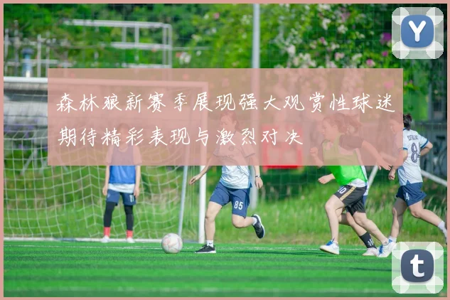 森林狼新赛季展现强大观赏性球迷期待精彩表现与激烈对决