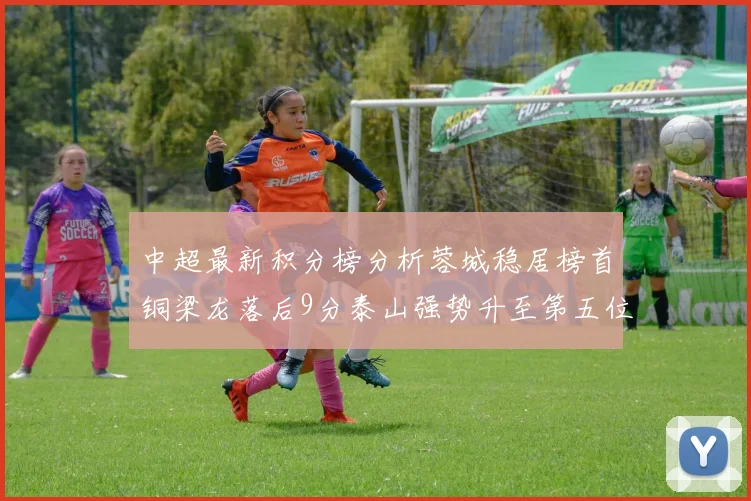 中超最新积分榜分析蓉城稳居榜首铜梁龙落后9分泰山强势升至第五位津门虎积分清零